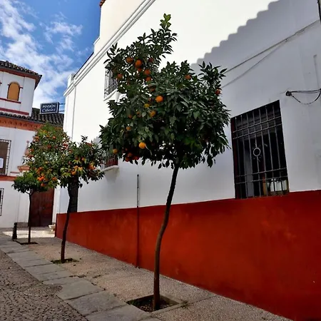 Cibeles קורדובה